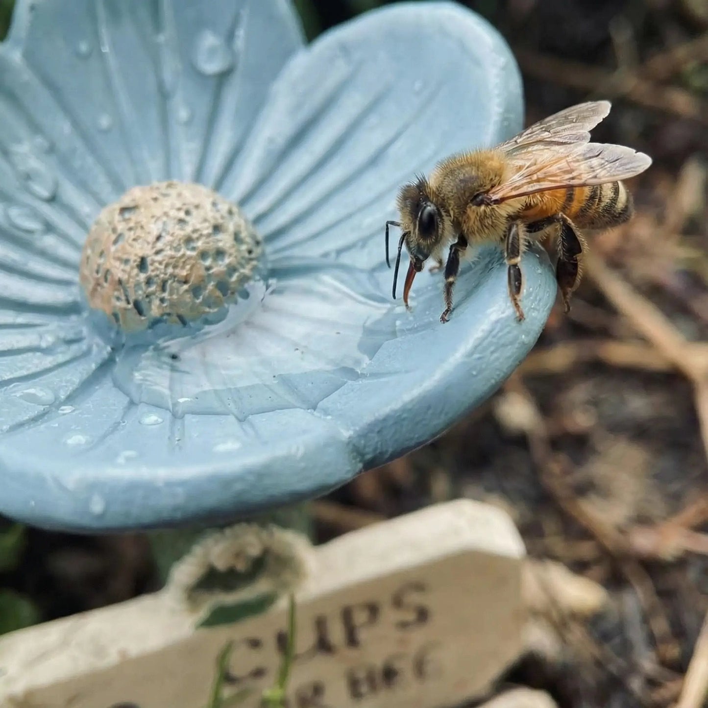 ⏳Limited-time 50% off🐝Flower-Shaped Bee Watering Station💧